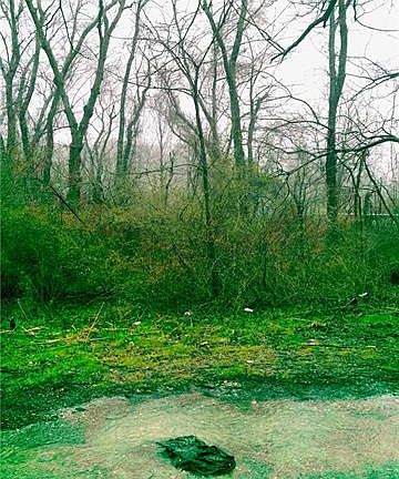 3rd image of 1208 Stanwood Ln