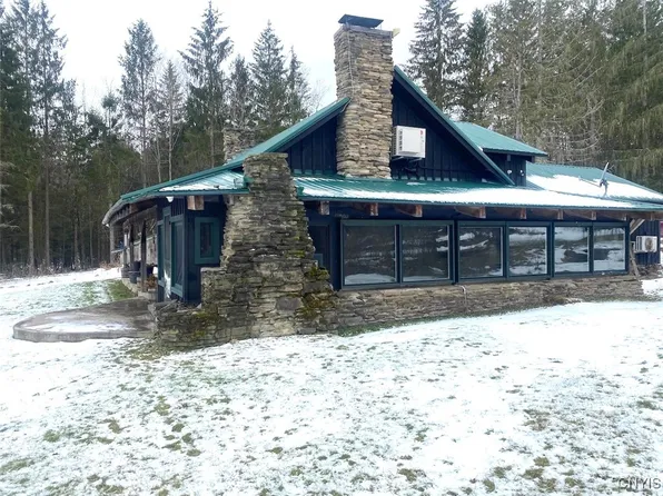 4607 Waugh Brook Rd, Scio, NY 14880