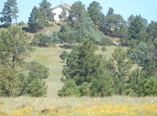 37450 Comanche Creek Rd, Kiowa, CO 80117