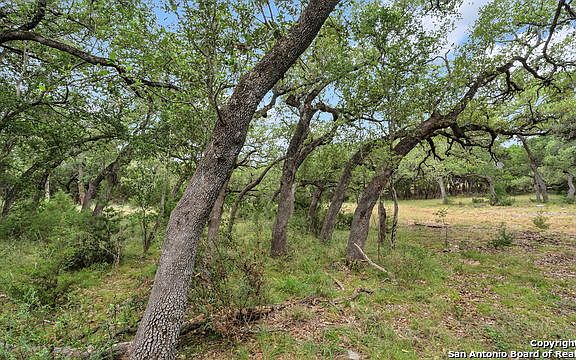 5th image of 5689 Comal Vis