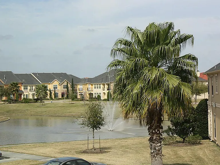 2046 Palm Forest Ln — Photo 27