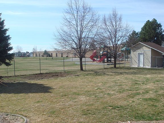 Back yard and shed, late winter