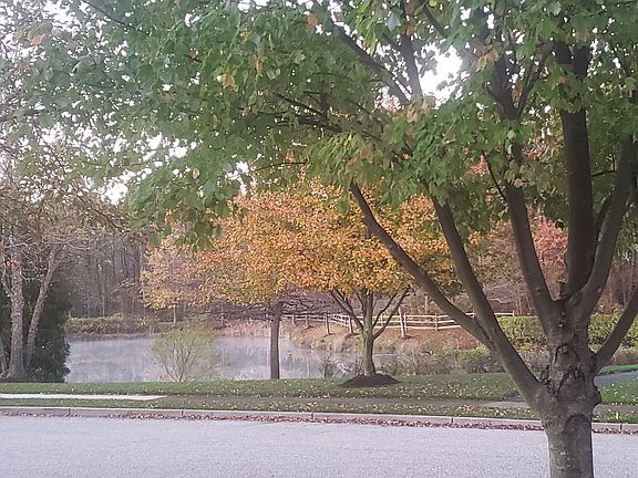 5th image of 74 Cedar Village Blvd
