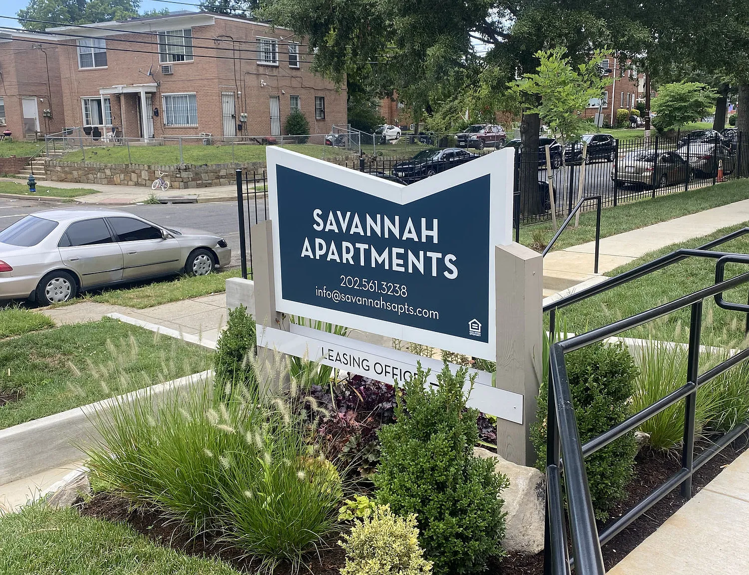 Savannah — Photo 3
