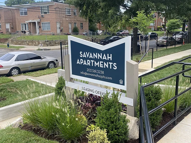 Savannah — Photo 3