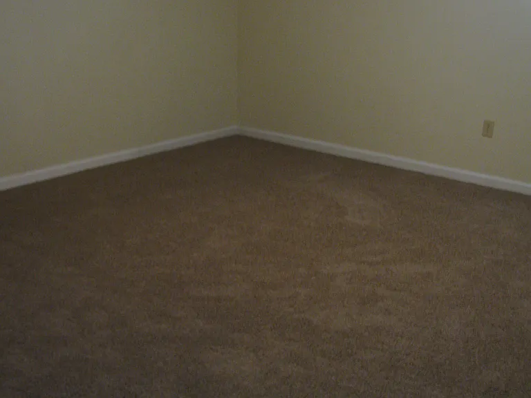 6459 Blackhaw Dr — Photo 10