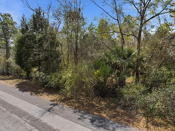 2nd image of 9568 N DAWNFLOWER AVENUE LOT 13