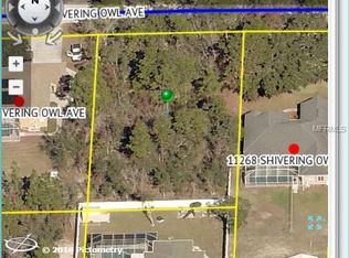 11258 Shivering Owl Ave, Weeki Wachee, FL 34614