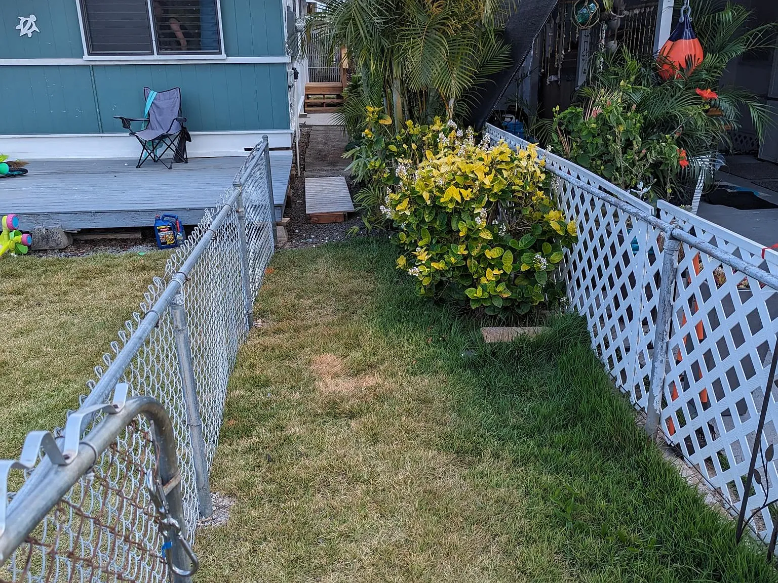 539 Kalolina St — Photo 2
