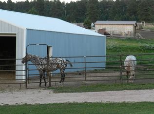 25436 Sidney Park Rd, Custer, SD 57730