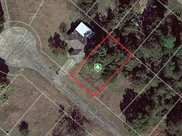 245 Deep Woods Ln, Livingston, TX 77351
