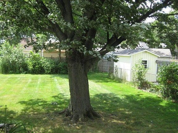 back yard