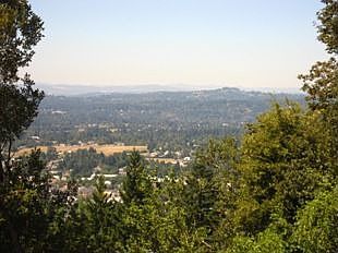 VIEW FROM THE BACKYARD