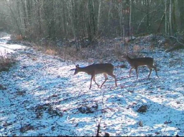 5770 Bell School Road, Ladysmith, WI 54848