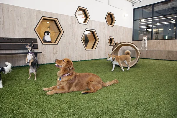 Rented by The Dermot Realty Management Company | media 4