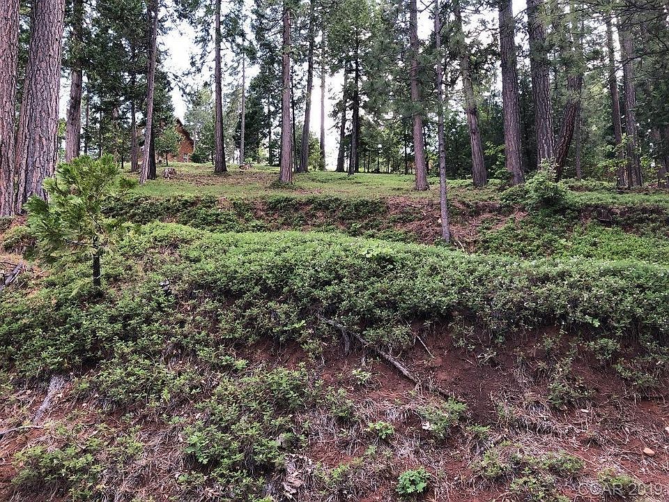 1st image of 2783 Placer Way