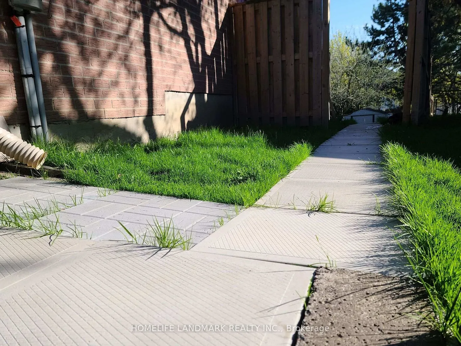 1 bed, $1,700 — Photo 2