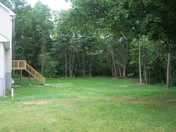 Back yard