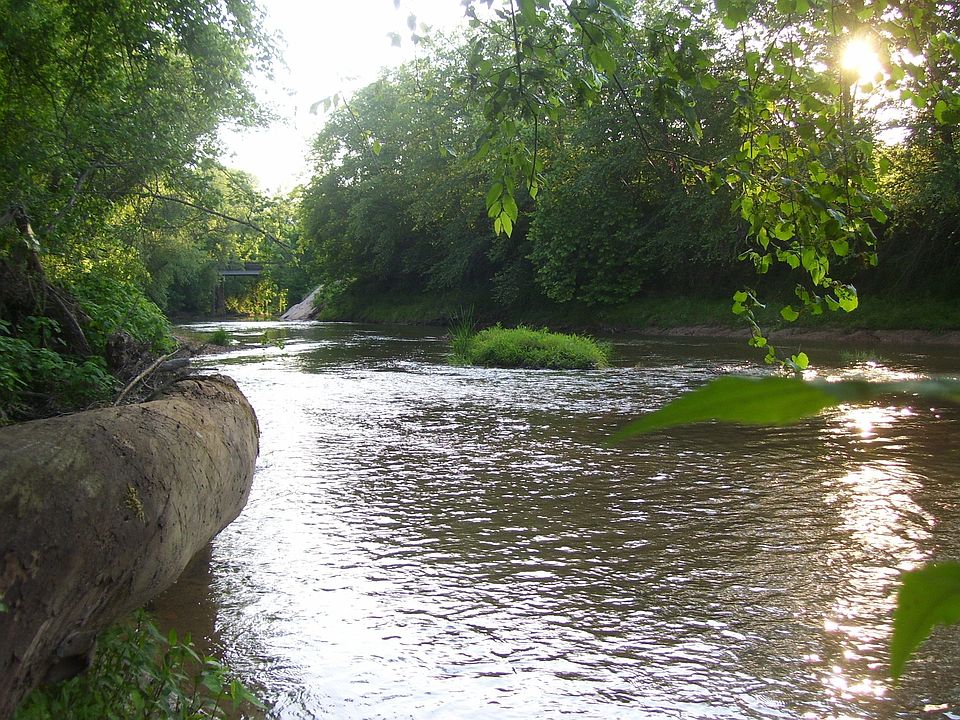 creek on land