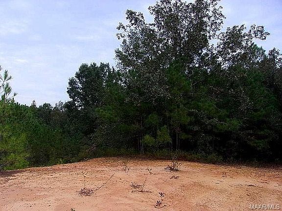 3rd image of 731 Ethan Ln