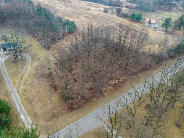 0 Caine Rd, Vassar Twp, MI 48768