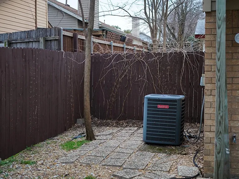 Fenced Yard
