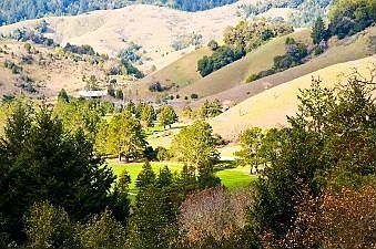 View :: 125 Conifer Way