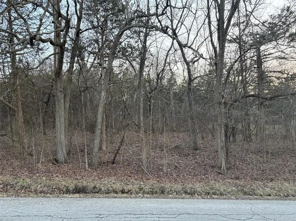 114 Summer Set Dr, De Soto, MO 63020