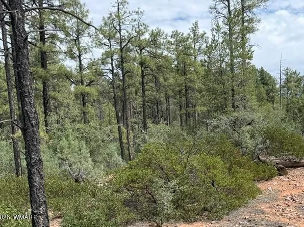 3352 Pine Needle Dr, Show Low, AZ 85901