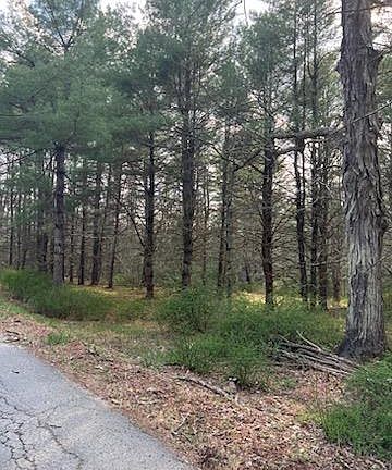 3rd image of 00 Upper Pine Kill Road