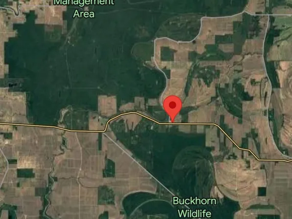 111 Fred Bear Way, Newellton, LA 71357