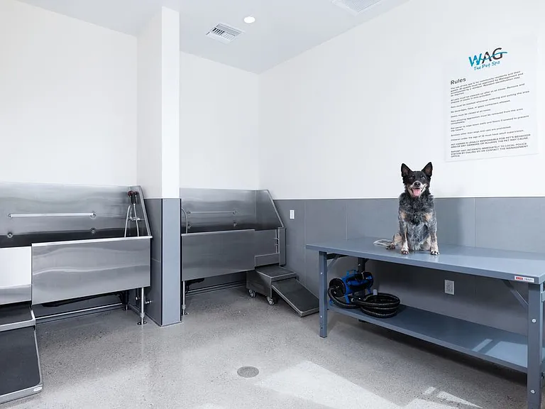 WAG Pet Spa