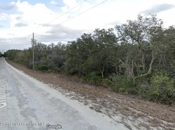 0 Chimney Rock Dr, Webster, FL 33597