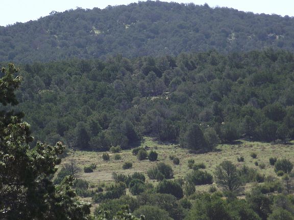 4th image of 978 E Hualpai Trl #184