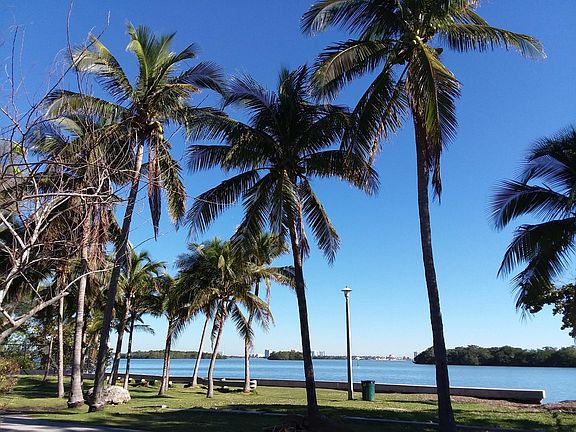 Morningside Park and Biscayne Bay