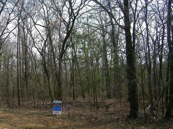 LOT 28 Benjamin Brown Ct Lot 28, Elberton, GA 30635