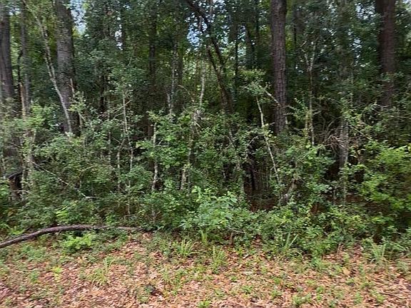 4th image of Private Road 6328