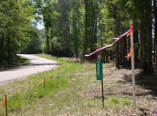 2950 Nesom Rd, Clinton, LA 70722