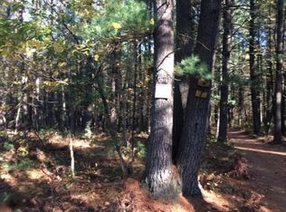 W Pomeroy Springs Rd, Irons, MI 49644