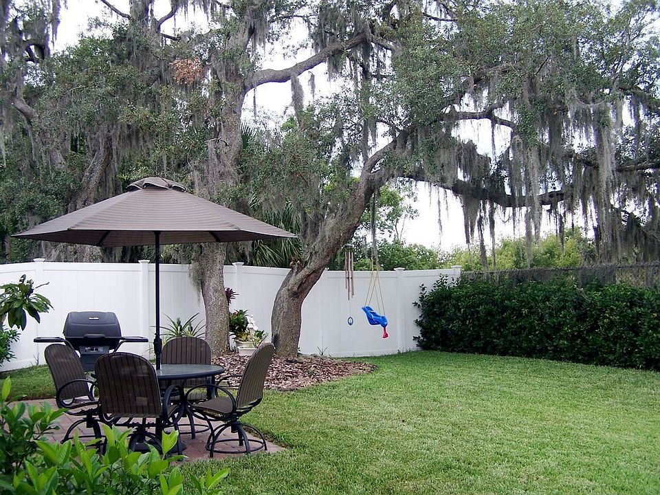 back yard