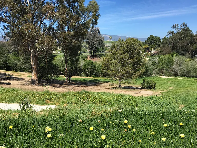 78 San Milano Dr — Photo 8