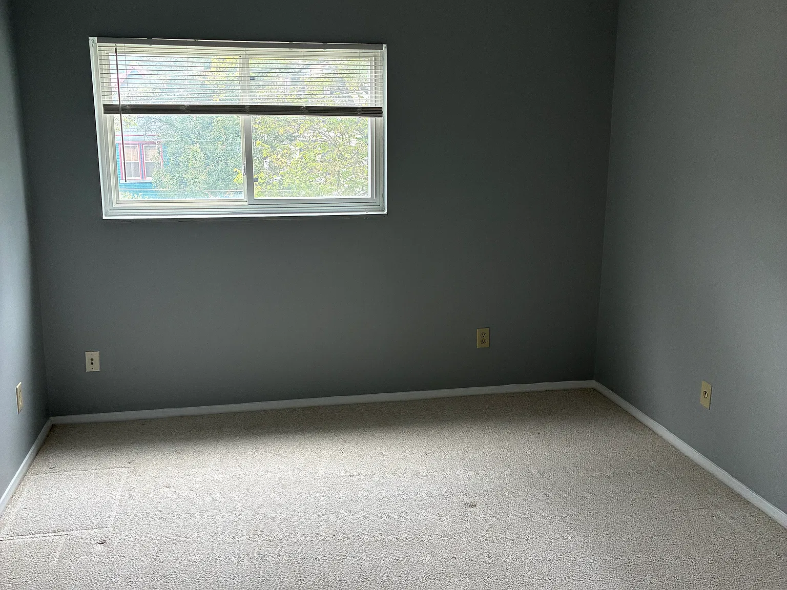 1 bed, $850 — Photo 4