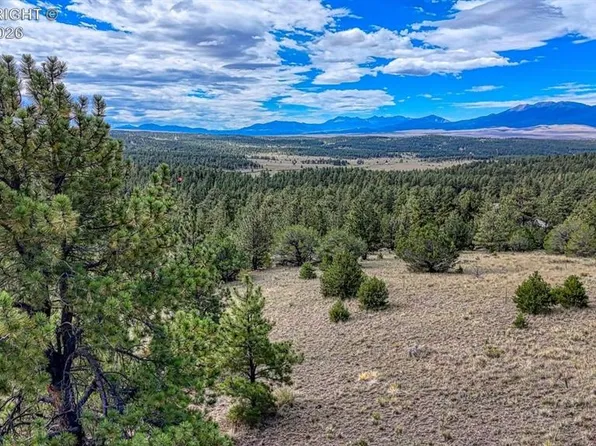 344 Matterhorn Cir S, Westcliffe, CO 81252