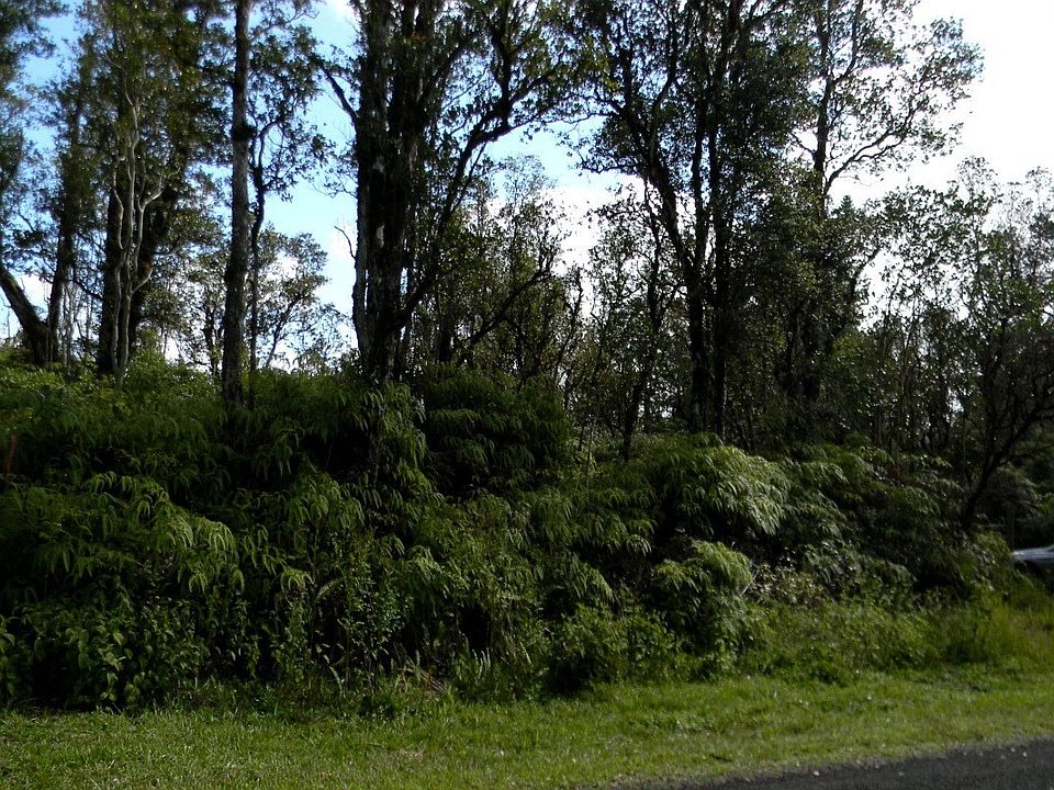 1st image of 11-3032 Hibiscus St Lot 7361