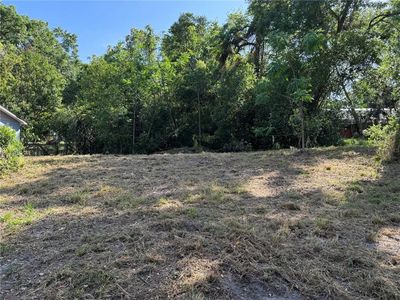 N Palm Cir Lot 20, Eustis, FL, 32726