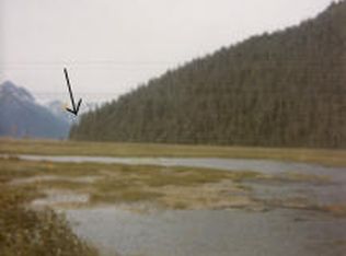 L2 Portage Valley, Girdwood, AK 99587