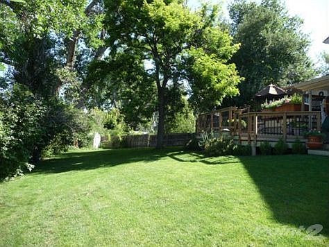 Backyard from SW corner