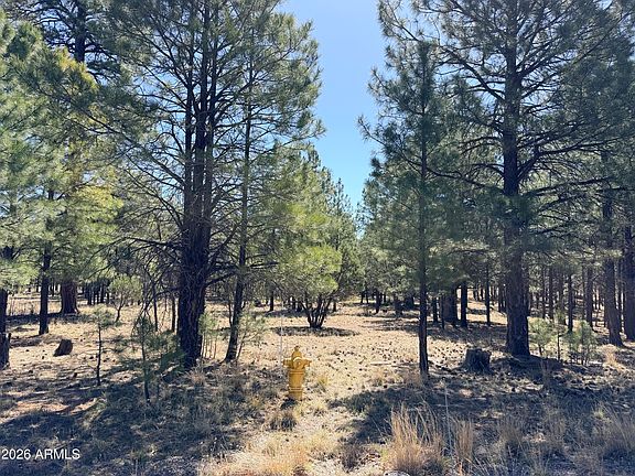 3rd image of 1755 SUGAR PINE Drive #232