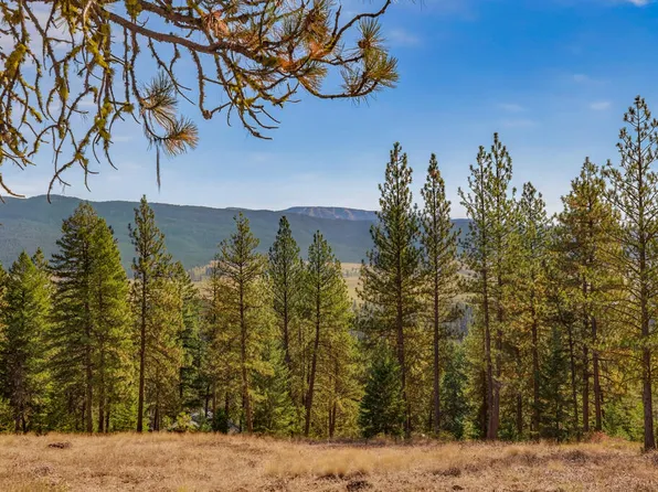 LOT 25 Skyline Dr, New Meadows, ID 83654