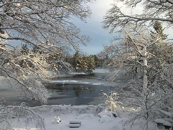 Winter Wonderland